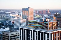 New Cambridge Lofts - Edmonton Tower and Skyline - 2012.jpg