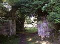 Newminster Abbey ruins