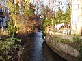 Outlet of Wraysbury River and River Colne - geograph.org.uk - 95711