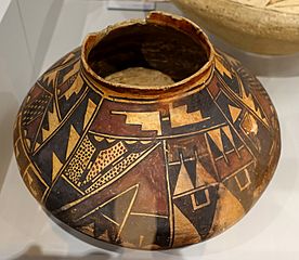 Payupki Polychrome Jar, Hopi, 1889, ceramic - Native American collection - Peabody Museum, Harvard University - DSC06131