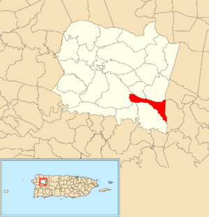 Location of Perchas 1 within the municipality of San Sebastián shown in red