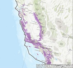 Peromyscus californicus map of distribution in the state of California, United States