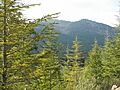 PicodelNacedero 2011-2-27 SierraMadrona