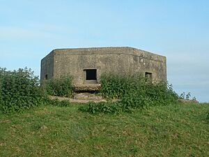 Pillbox, Freiston Shore