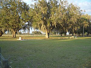 Pine Level FL Camp Grounds cem01