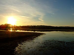 Port Meadow sunset