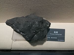 Primary coking coal 20180405 154027 1
