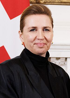 Head shot of Frederiksen with a Denmark flag in the background