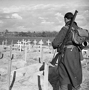 Private Phillip Johnson of the 2-6th Queen's Regiment inspects British graves at Anzio, Italy, 1 March 1944. NA12703