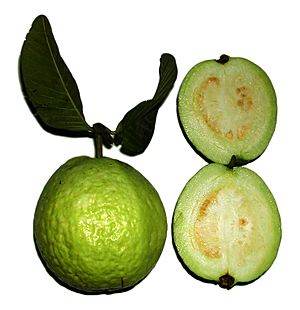 Psidium guajava fruit