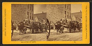 Red river ox carts, by Whitney's Gallery