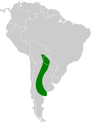 Rhinocrypta lanceolata map.svg