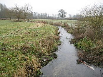 River Misbourne near Chalfont St Giles - geograph.org.uk - 1109908.jpg