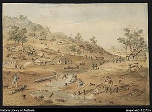 S.T. Gill, Diggings in the Mount Alexander district of Victoria in 1852