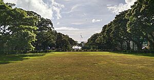 SU Treeline West Quad