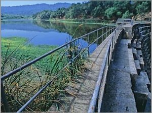 Searsville Dam.jpg