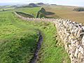 Section of Hadrian's Wall 1