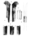 Sinanthropus Femora I and II