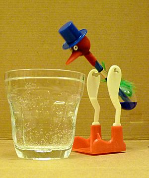 How drinking bird toys work : Fizzics Education