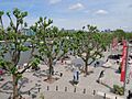 South Bank outside Royal Festival Hall (01)