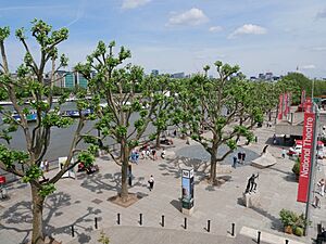 South Bank outside Royal Festival Hall (01)