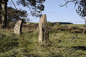 Standing Stones - geograph.org.uk - 1519853