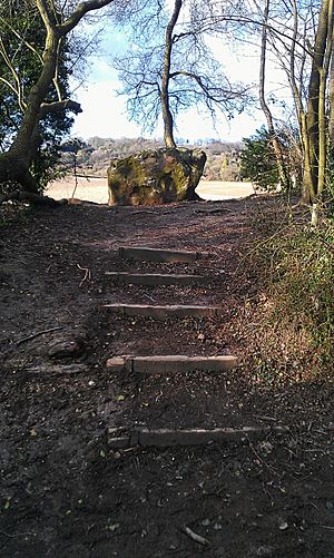 Steps to the White Horse Stone