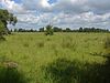 Thorpe Hay Meadow