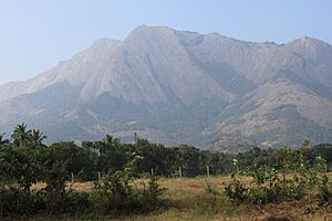 The Majestic Western Ghats along the Palakkad - Coimbatore Hwy 47
