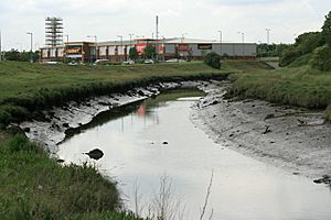 The Old River Tees - geograph.org.uk - 475658