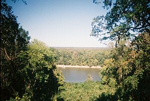 Torreyapark03