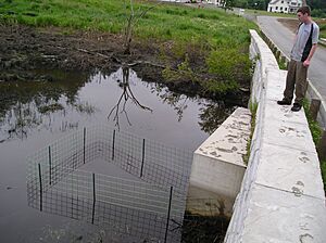 Trapezoidal Culvert Protective Fence Westford, MA