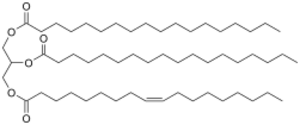 TriglycerideTallow