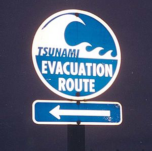 Tsunami Evacuation Route signage south of Aberdeen Washington