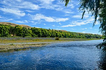 Tutaekuri River.jpg
