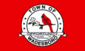 Wadesboro, NC Town Flag