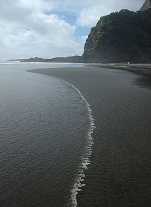 Wave advancing across sand ripples, north Karekare beach