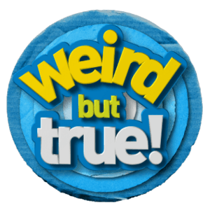 Weird but True! (television series).png