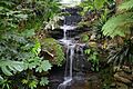 (1)Lisgar Gardens 052-waterfall