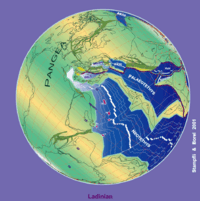 230 Ma plate tectonic reconstruction