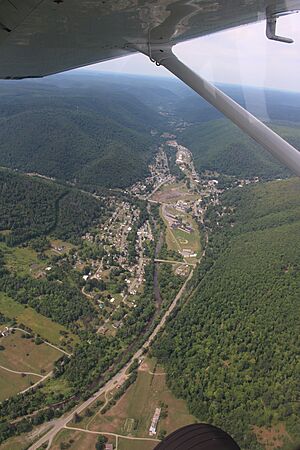 Aerial-galeton