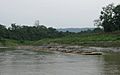 Bamboo Transportation to Chondroghona Papers Mills, Kaptai Rangamati