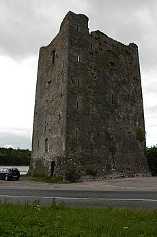 Belvelly Castle - geograph.org.uk - 482967