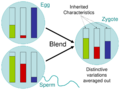 Blending Inheritance