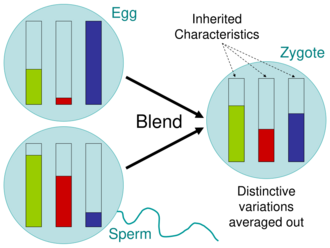 Blending Inheritance