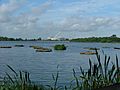 Brent Res view