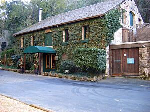 Buena Vista Winery, Sonoma, CA