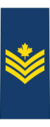Canadian Air Command (1984-2014) OR-6.svg