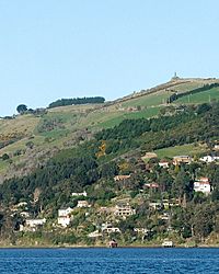 ChallisNZ