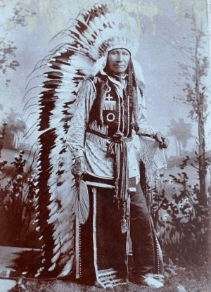 Chief American Horse, Wild Wester
